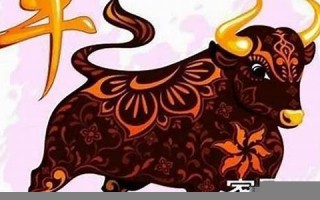 属牛人的命运(2025年属牛人的运势)