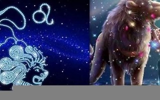 狮子座是几月(狮子座是几月生日)