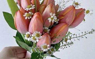 2014年3月黄道吉日(2014年3月黄道吉日一览表查询)