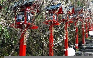 4月5日(2006年4月5日) 4月5日(2006年4月5日)