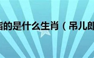吊儿郎当打一最佳生肖(吊儿郎当打一数字) 吊儿郎当打一最佳生肖(吊儿郎当打一数字)