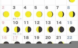 7月22(7月22到8月22是什么星座)