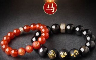 2009年运程(播放2009年的运势) 2009年运程(播放2009年的运势)