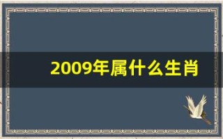 2009年属什么生肖(2009年属什么生肖什么命) 2009年属什么生肖(2009年属什么生肖什么命)