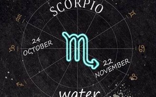 11月19日是什么星座(11月09是什么星座)