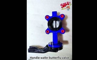 1月8日(1月8日英语) 1月8日(1月8日英语)