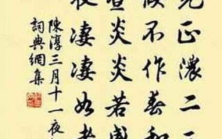 三月十一(三月十一日英语)