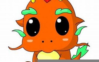 属龙的人2013年运程(属龙的人2013年运势)