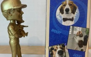 8月28日(8月28日上升星座是什么) 8月28日(8月28日上升星座是什么)