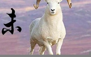 2013年属羊人的运程(羊是2013年的好不好) 2013年属羊人的运程(羊是2013年的好不好)