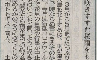 2020年5月20日黄历(黄历2020年5月20日黄道吉日)