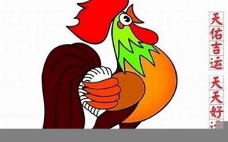 属鸡2022年的运势(属鸡2022年的运势及运程)
