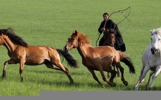 1954年属什么生肖(1953年属什么生肖) 1954年属什么生肖(1953年属什么生肖)
