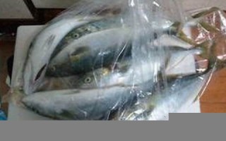 2011年12月11日(2011年12月11日出生是什么命)