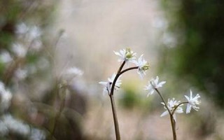 2016年9月19日(2016年9月19日出生是什么星座)