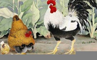 属鸡人在2021年的全年运势(属鸡人在2021年的全年运势大家找算命网)