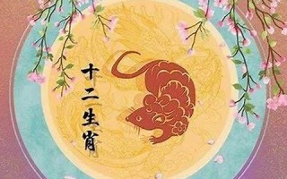 属鼠人2022年全年运势运程(属鼠人蛇年运势2025)