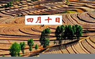 农历四月初十(农历四月初十出生的属什么命)