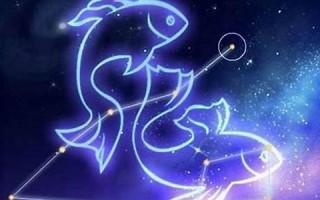 双鱼座和什么星座配(双鱼座和什么星座配对指数是100)
