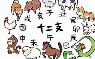 2012什么生肖(2012什么生肖年份)