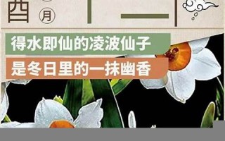 十一月十三(十一月十三日是什么日子) 十一月十三(十一月十三日是什么日子)