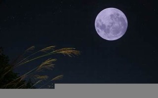 10月28(10月28日是什么星座) 10月28(10月28日是什么星座)