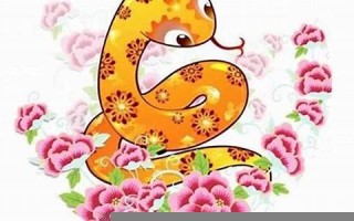 1977年属蛇人的命运(1977年属蛇人的命运分析) 1977年属蛇人的命运(1977年属蛇人的命运分析)