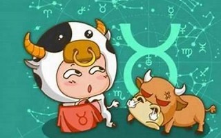 金牛座老公(金牛座老公不爱老婆的表现)