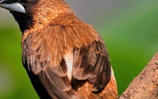 正月初三日子吉利吗(2000年正月初四)