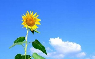 12月18日是什么星座(1982年12月18日是什么星座) 12月18日是什么星座(1982年12月18日是什么星座)