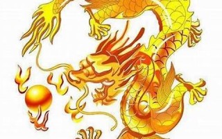 属龙的命运(2000年属龙的命运) 属龙的命运(2000年属龙的命运)