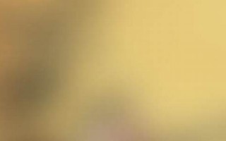 1973年属牛的人2013年运程(1973年的牛2021年运势-风水玄学) 1973年属牛的人2013年运程(1973年的牛2021年运势-风水玄学)