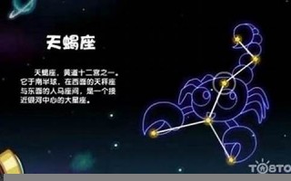 射手座男人的性格(射手座男人的性格和爱情)