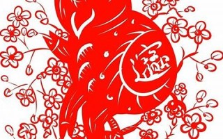 2019生肖(2019生肖猪金银币发行价格) 2019生肖(2019生肖猪金银币发行价格)