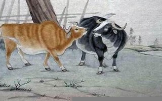 牛配狗(牛配狗守孤灯是真的吗) 牛配狗(牛配狗守孤灯是真的吗)