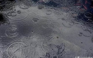 五月二十日(五月二十日用英语怎么说)