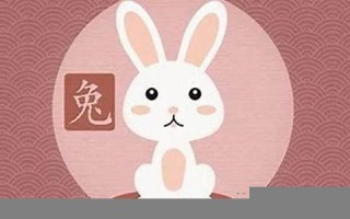 属兔的人今日运势-360星座网(属兔今日运程每日运势)