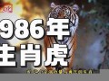 1986年属什么(1986年属什么五行)