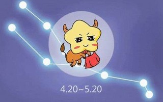 金牛座配对(金牛座最佳配对第一名)