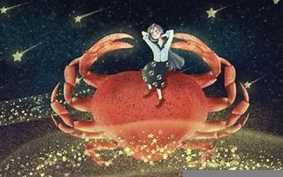 巨蟹座男生喜欢什么样的女生(巨蟹座男生喜欢什么样的女孩子)