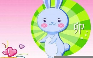 属兔的人2013年运程(2013年属兔犯太岁吗)