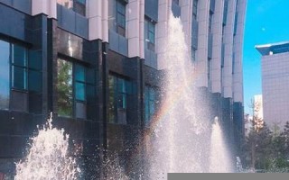 苏珊米勒2017年运势完整版(苏珊米勒2021年的运势及运程)