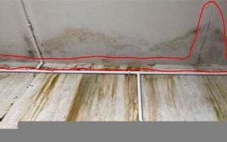 房顶漏水(物业不处理) 房顶漏水(物业不处理)