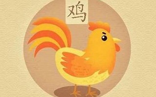 2013属鸡的运程(2013年属鸡)